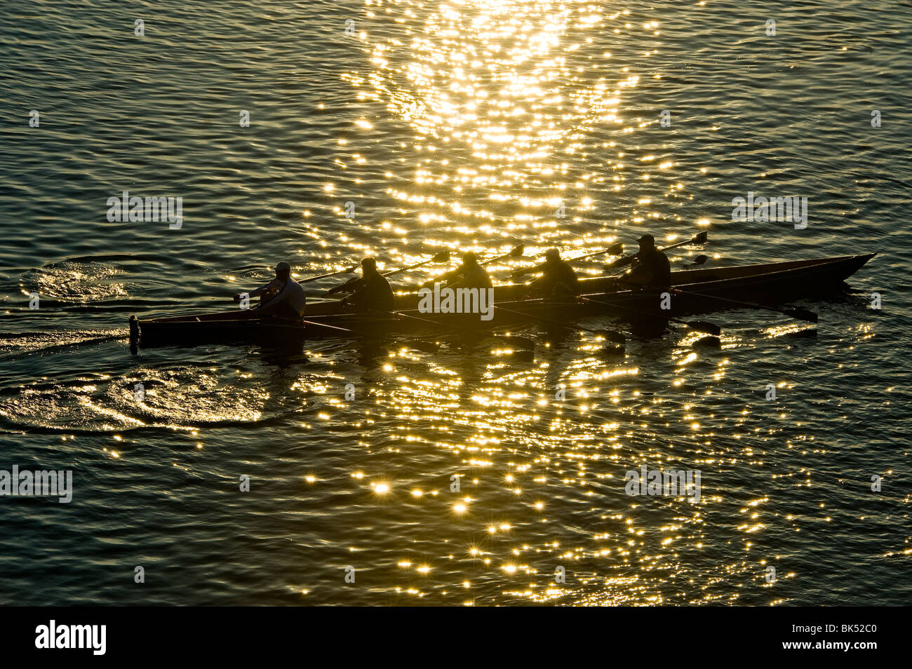 Rematore rower sculler fila sport a remi paddle paddling al tramonto tramonto della luce del sole soleggiato acqua retroilluminazione fiume oro giallo dorato Foto Stock