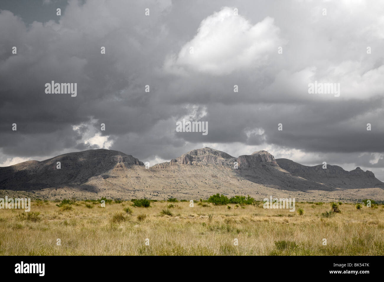 Autostrada 67 e del paesaggio, Texas, Stati Uniti d'America Foto Stock