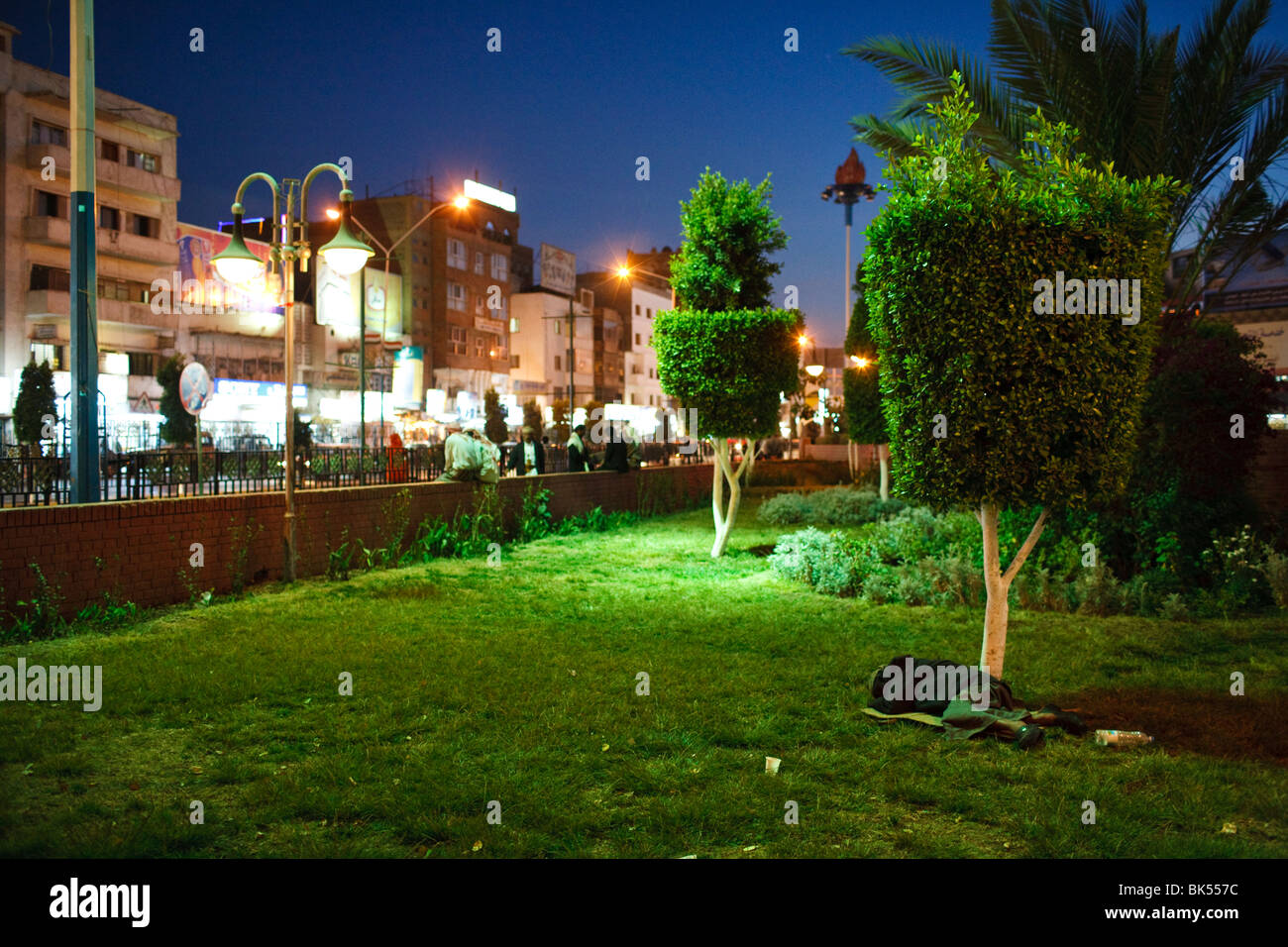 Un uomo dorme sotto un albero a Piazza Tahrir, Sana'a, Yemen Foto Stock
