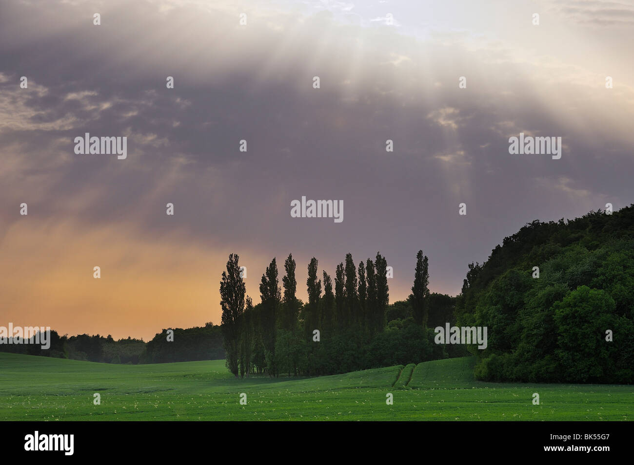Raggi di sole oltre il paesaggio, Rügen Isola, Meclenburgo-Pomerania Occidentale, Germania Foto Stock
