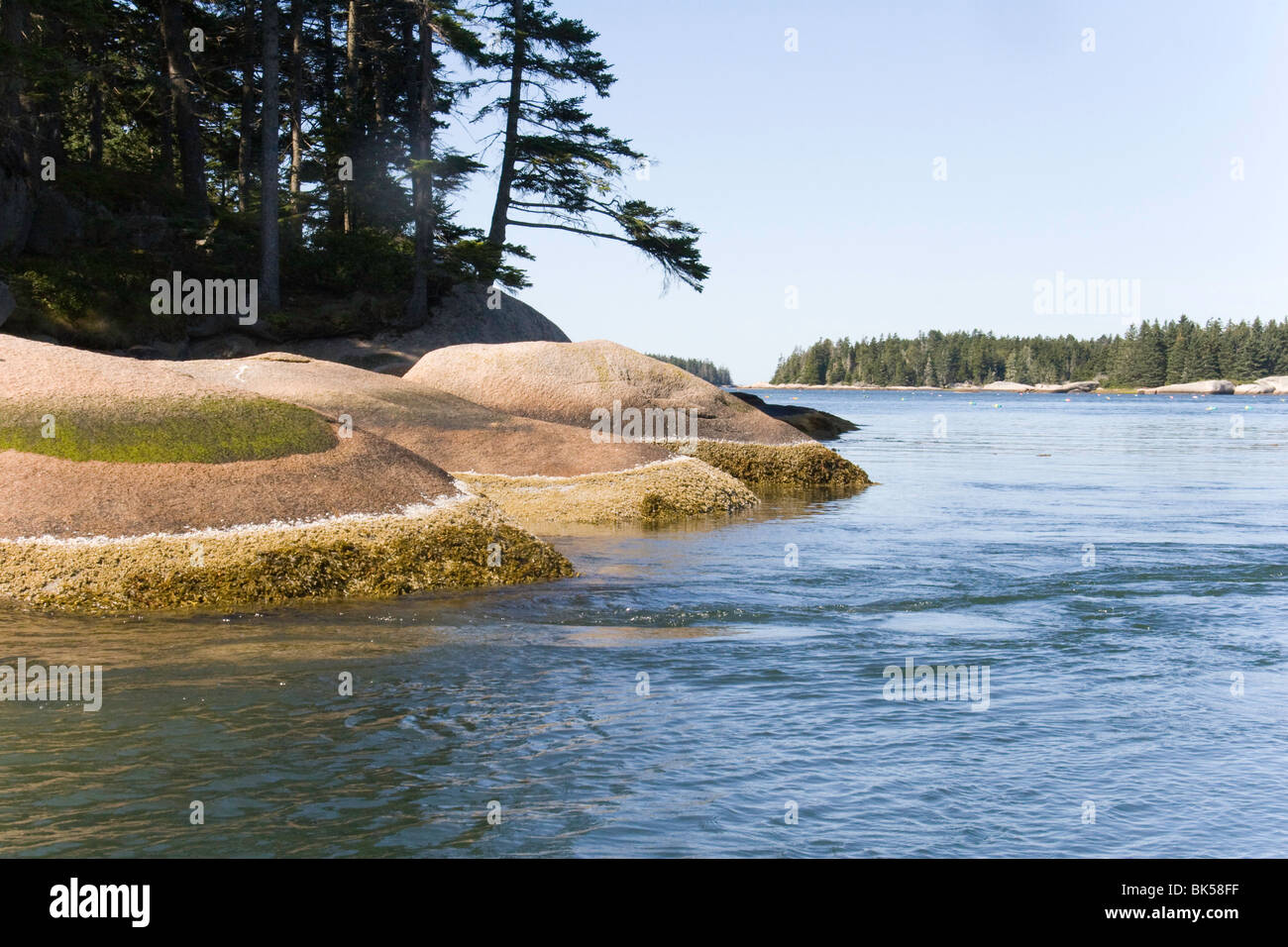 Glacially rocce levigate nel bacino sull isola di Vinalhaven, Maine Foto Stock