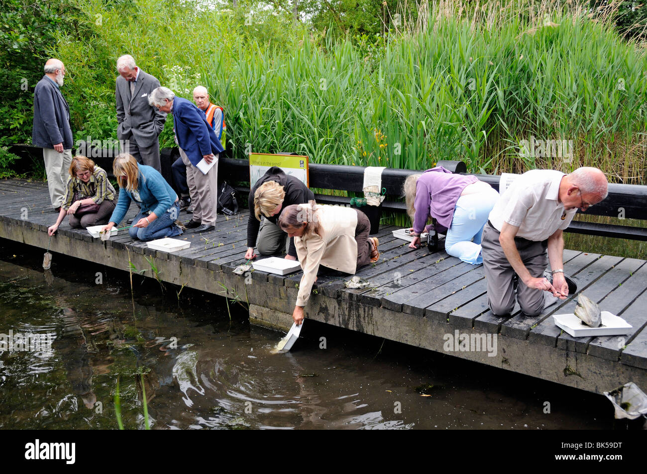 Adulti pond dipping Camley Street King's Cross Londra Inghilterra REGNO UNITO Foto Stock