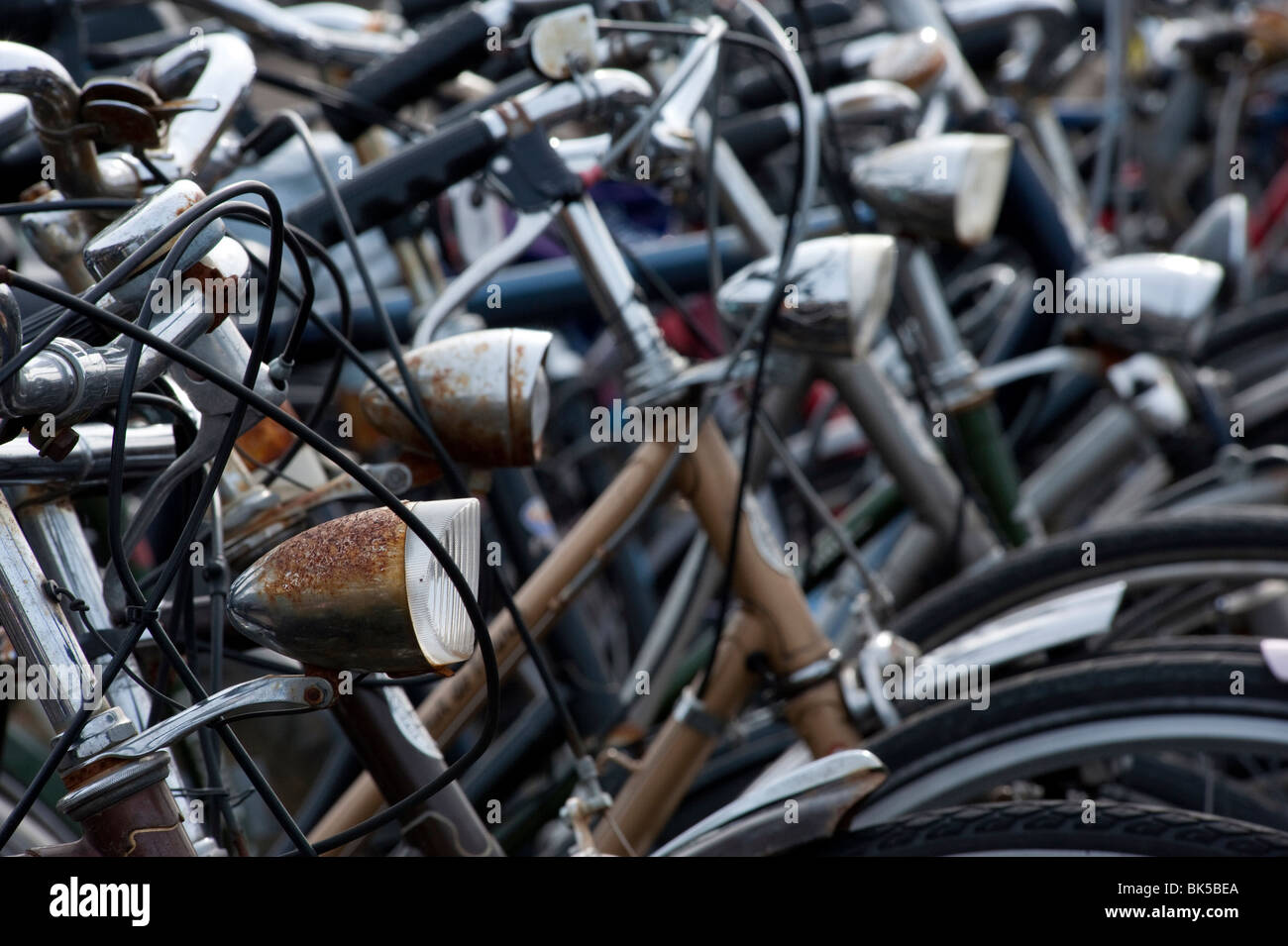 Molte biciclette parcheggiate nel parco pubblico nei Paesi Bassi Foto Stock