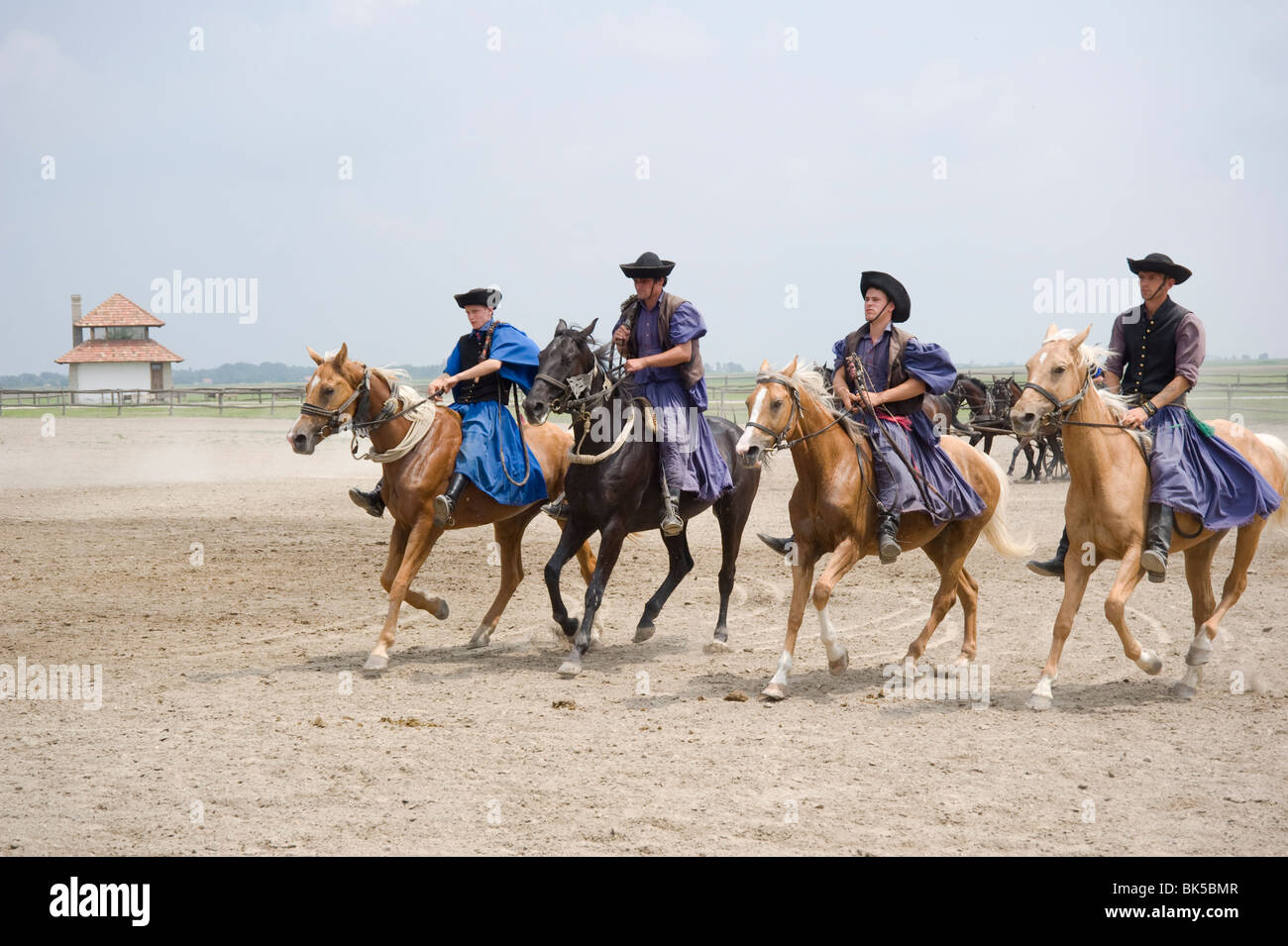 Una dimostrazione di equitazione presso un agriturismo vicino a Kalocsa, Ungheria, Europa Foto Stock