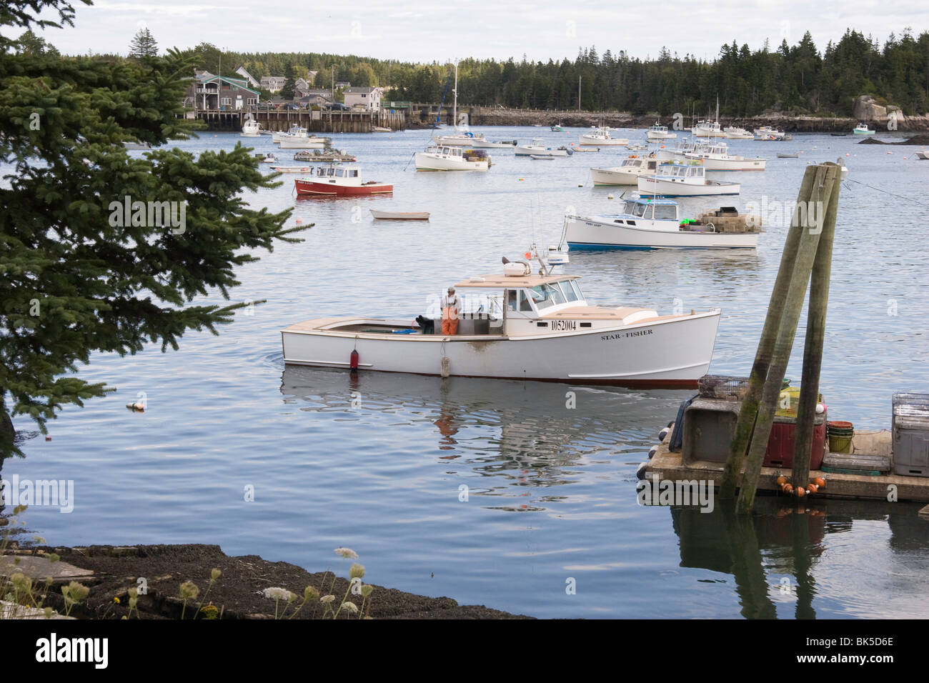 Lobster barche nel porto di intagliatori, Vinalhaven, Maine Foto Stock