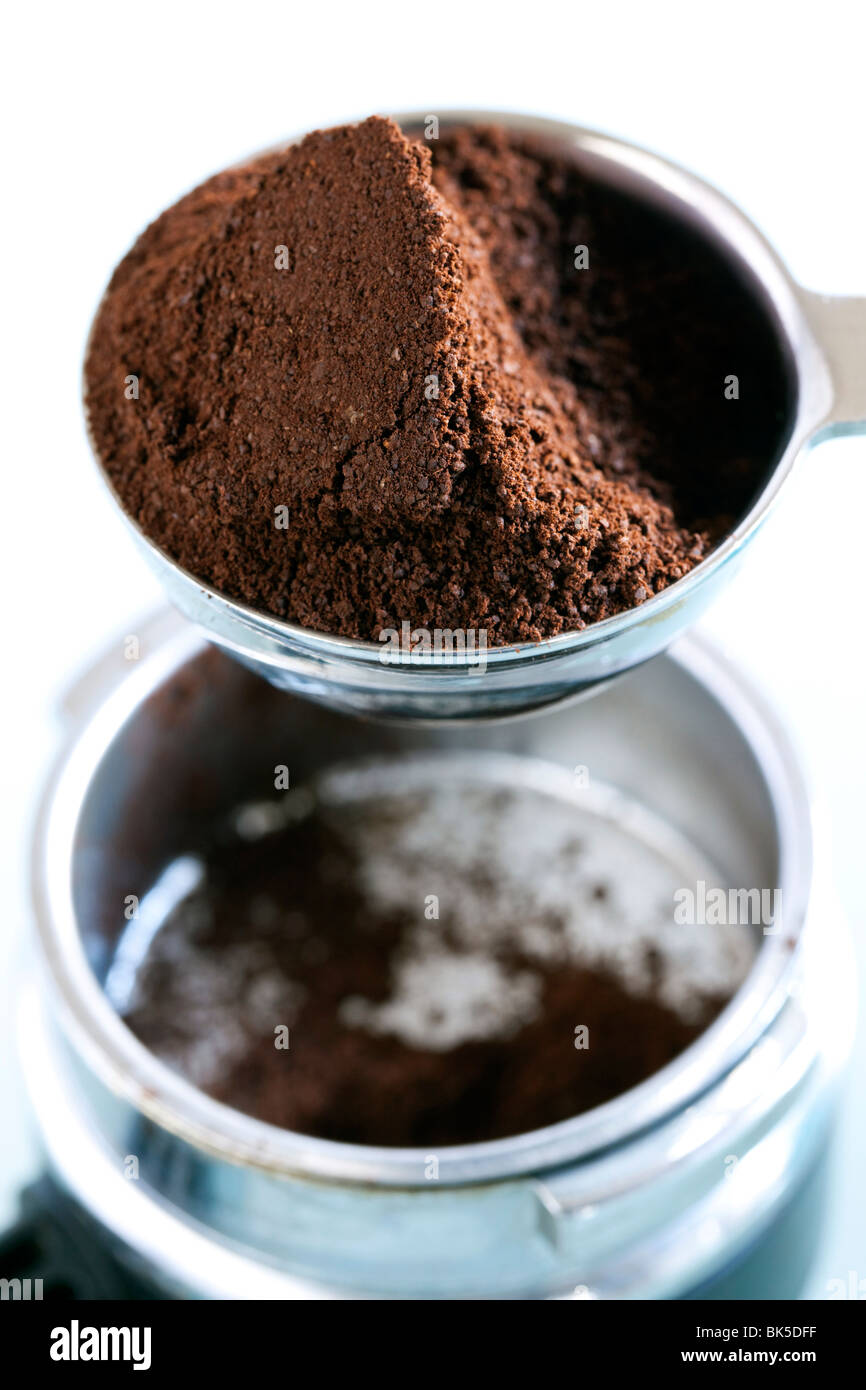 Caffè macinato fresco di essere inserito in una smerigliatrice supporto pronto per la produzione di caffè fresco o espress Foto Stock