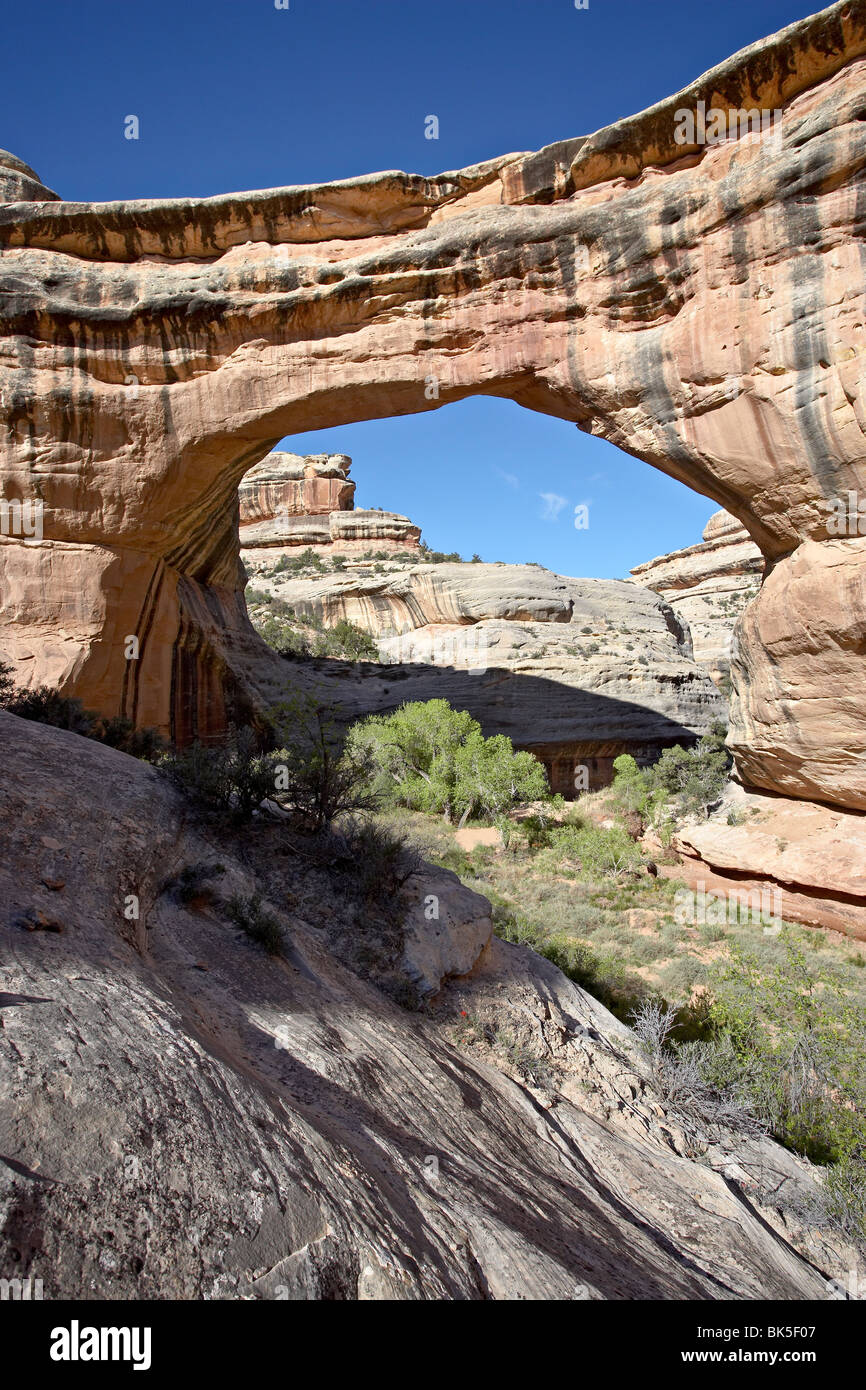 Sipapu ponte naturale, ponti naturali monumento nazionale, Utah, Stati Uniti d'America, America del Nord Foto Stock