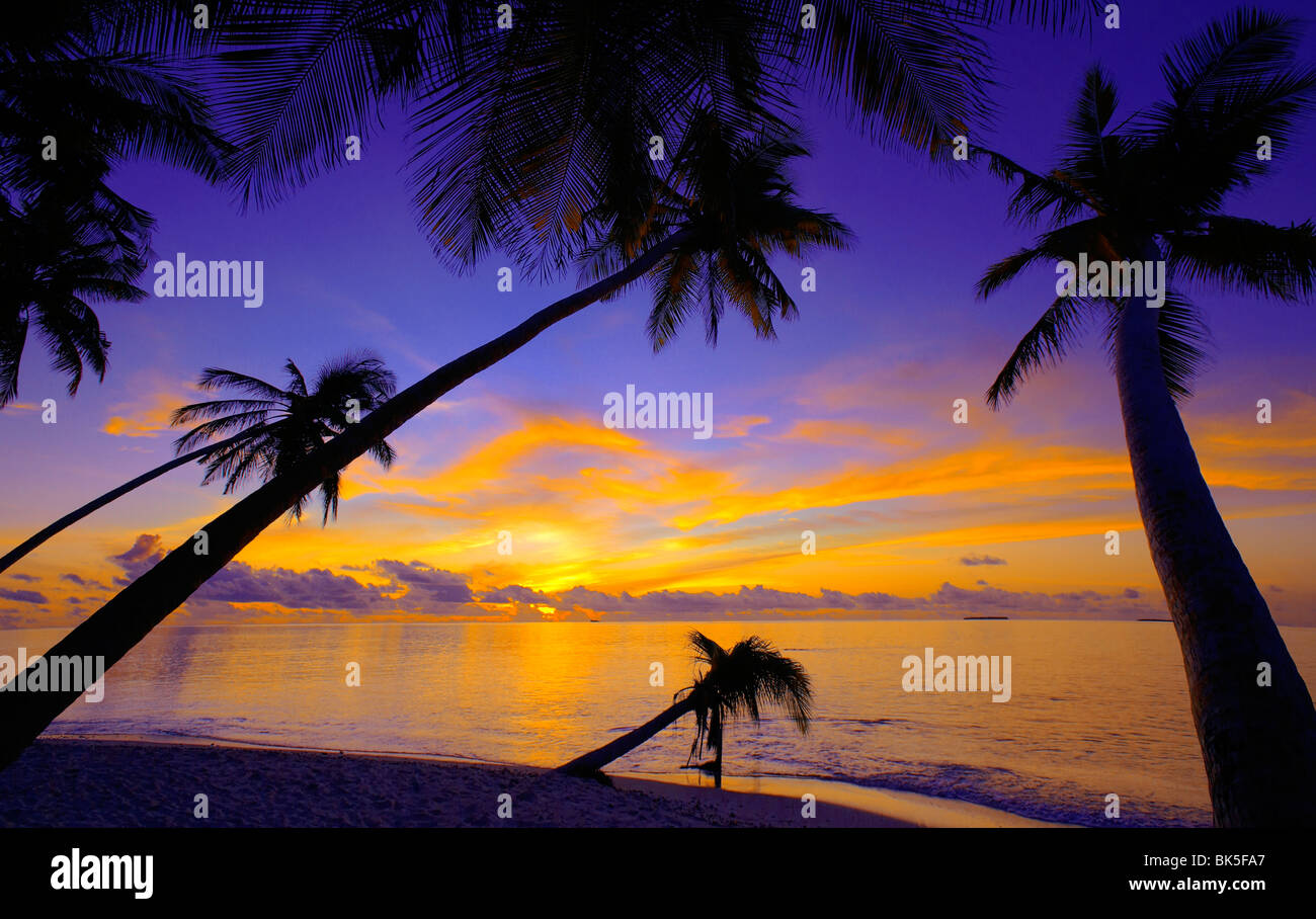 Palme e oceano al tramonto, Maldive, Oceano Indiano, Asia Foto Stock