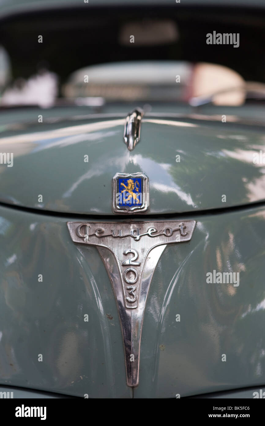 Auto d'epoca in mostra a Sault in Provenza Francia Foto Stock