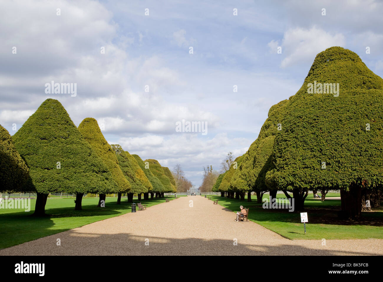I giardini formali di Hampton Court Palace, Surrey, Inghilterra. Foto Stock
