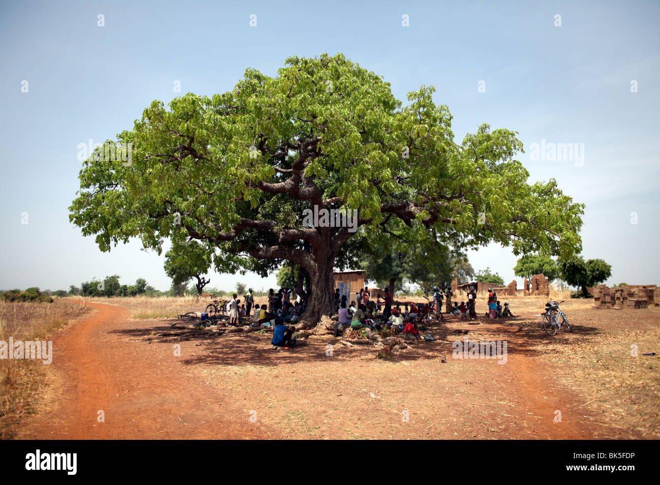 Gli abitanti del villaggio si raccolgono sotto un grande albero di Nandom, Ghana, Africa occidentale, Africa Foto Stock
