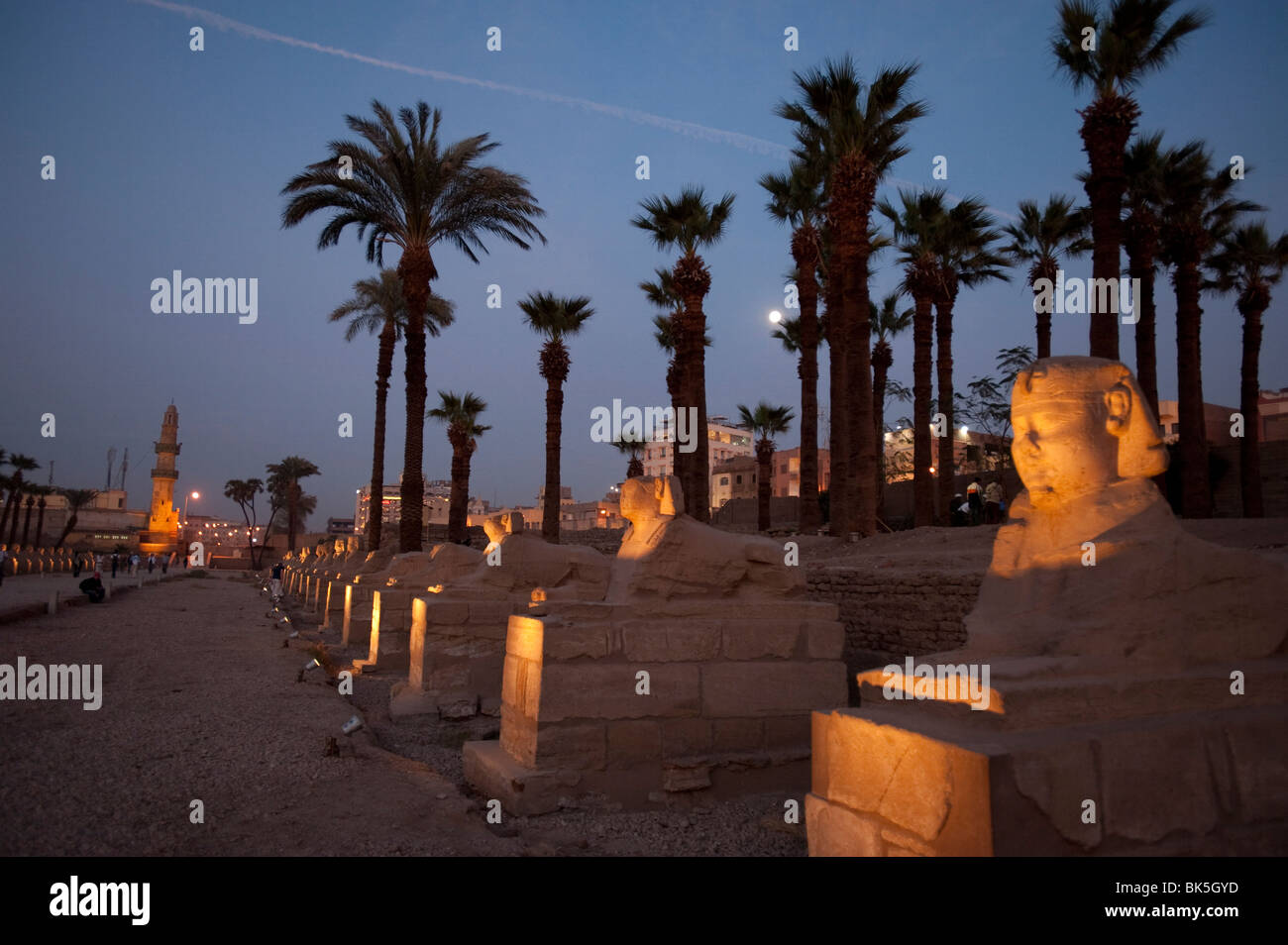 Tempio di Luxor, Tebe, Sito Patrimonio Mondiale dell'UNESCO, Egitto, Africa Settentrionale, Africa Foto Stock