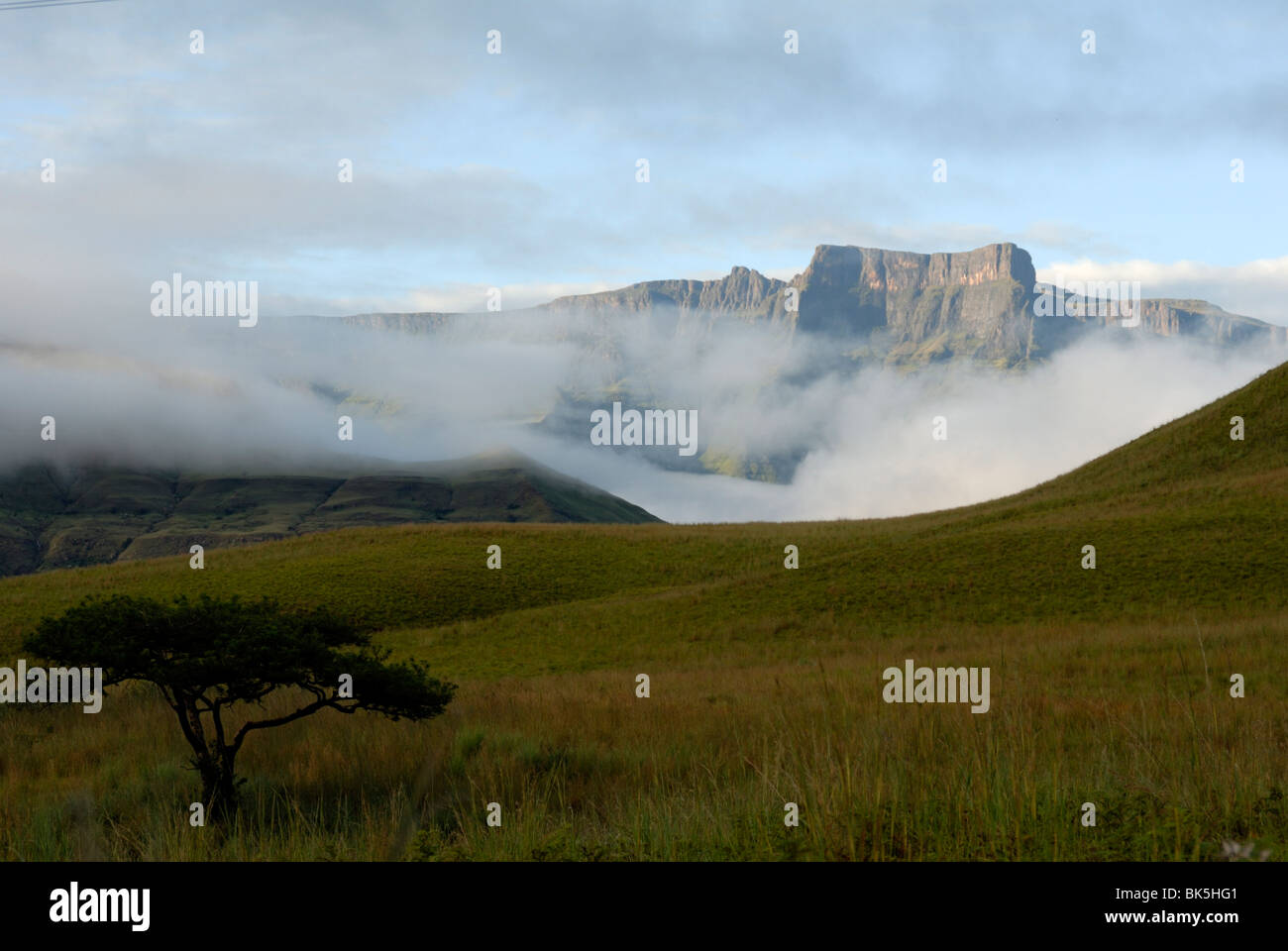 L'anfiteatro, il Royal National Park, sito Patrimonio Mondiale dell'UNESCO, Sud Africa e Africa Foto Stock