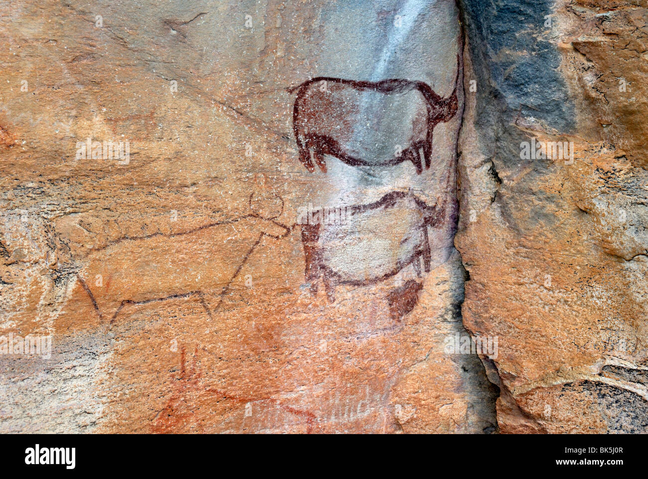 Le pitture rupestri di circa 4000 anni, Tsodilo Hills, Sito Patrimonio Mondiale dell'UNESCO, il Botswana, Africa Foto Stock