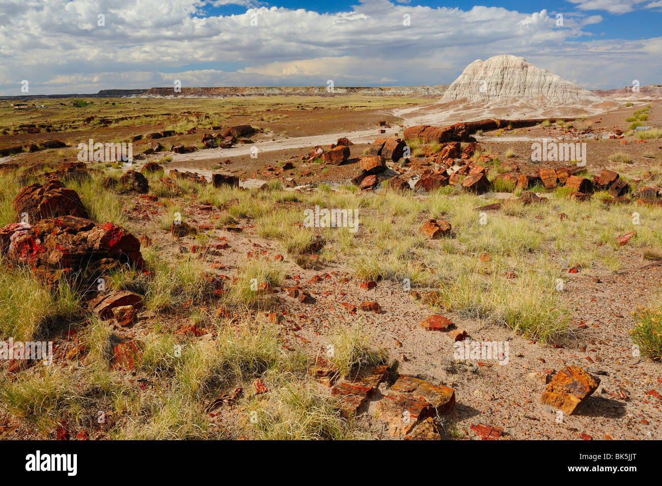 Vista panoramica sul Parco Nazionale della Foresta Pietrificata, Arizona, Stati Uniti d'America Foto Stock