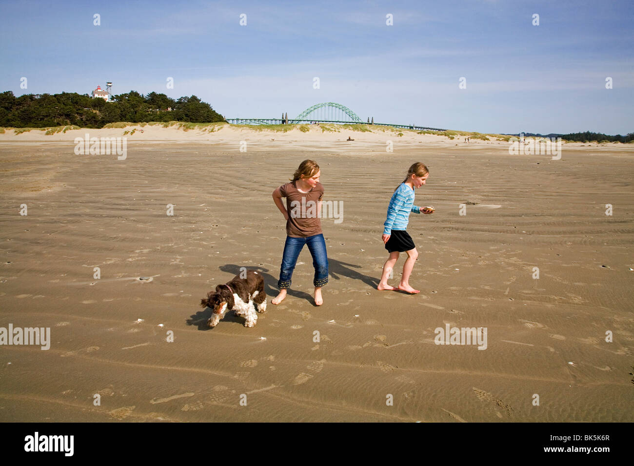 A piedi una parte color cocker spaniel su una spiaggia in Yachats, Oregon. Foto Stock