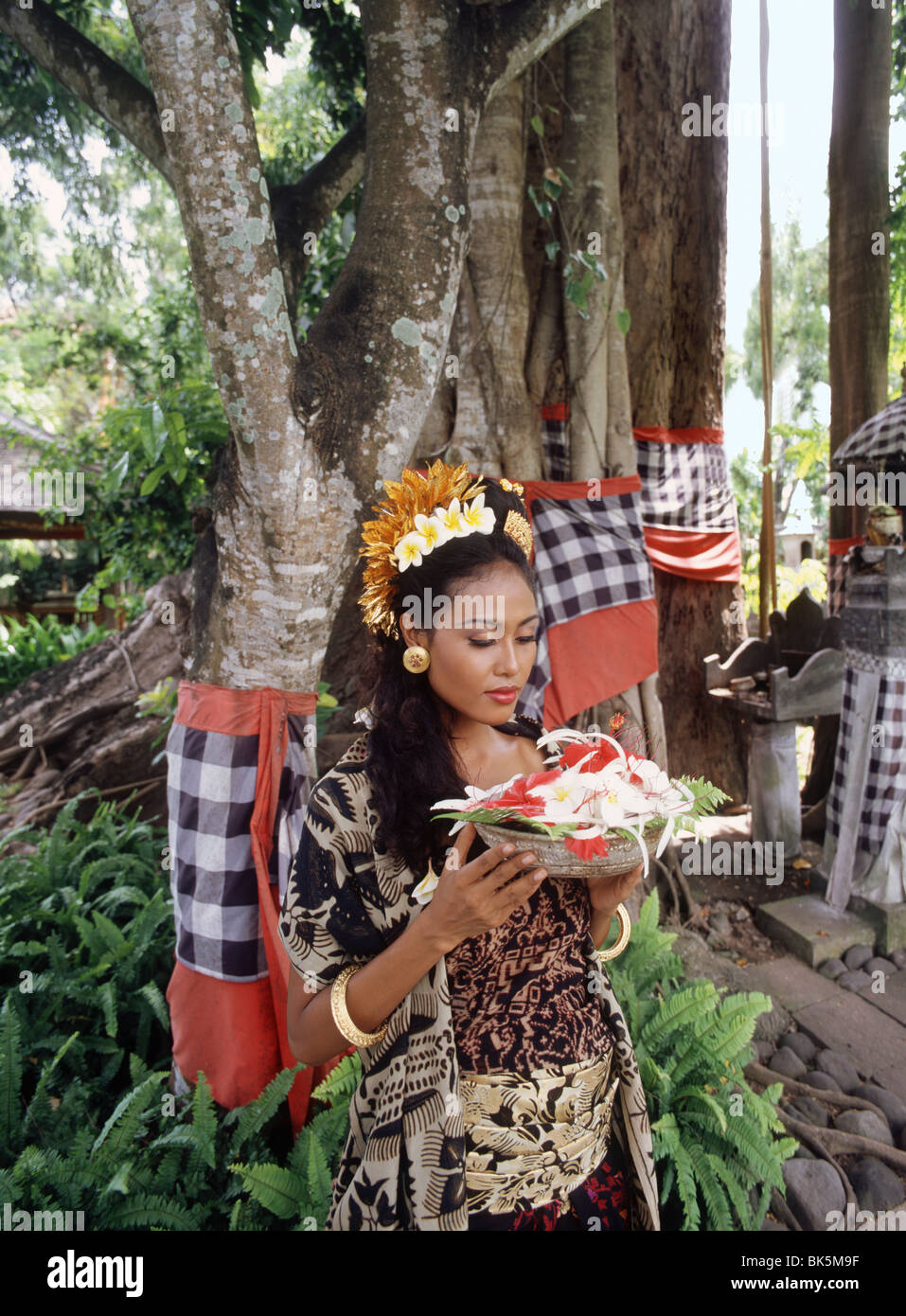 Ragazza Balinese con offerte sotto il banyan tree di Bali, Indonesia, Asia sud-orientale, Asia Foto Stock