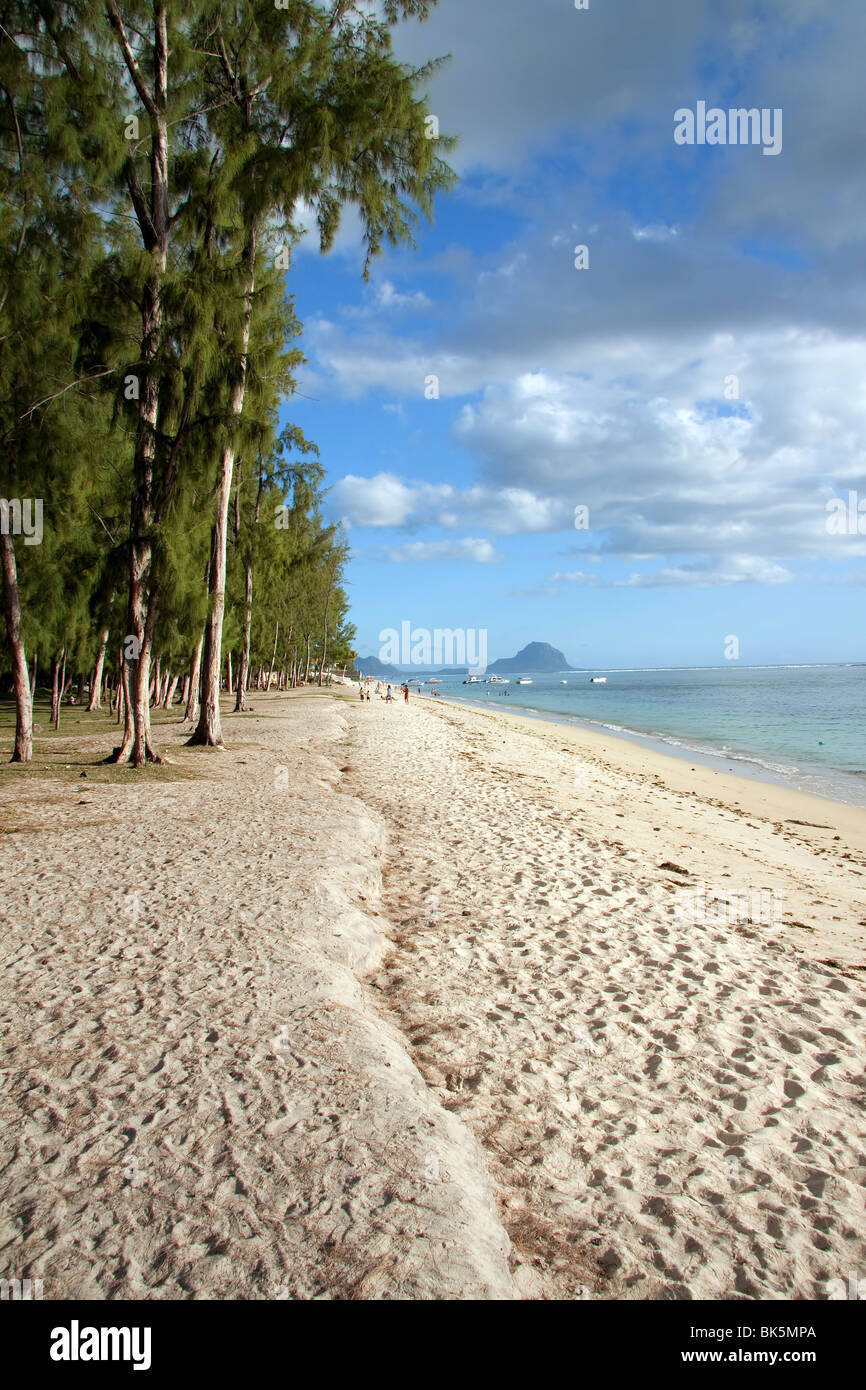 Bellissima sabbiosa spiaggia tropicale di Flic en Flac sull'isola di Mauritius con blu cielo nuvoloso sfondo. Foto Stock