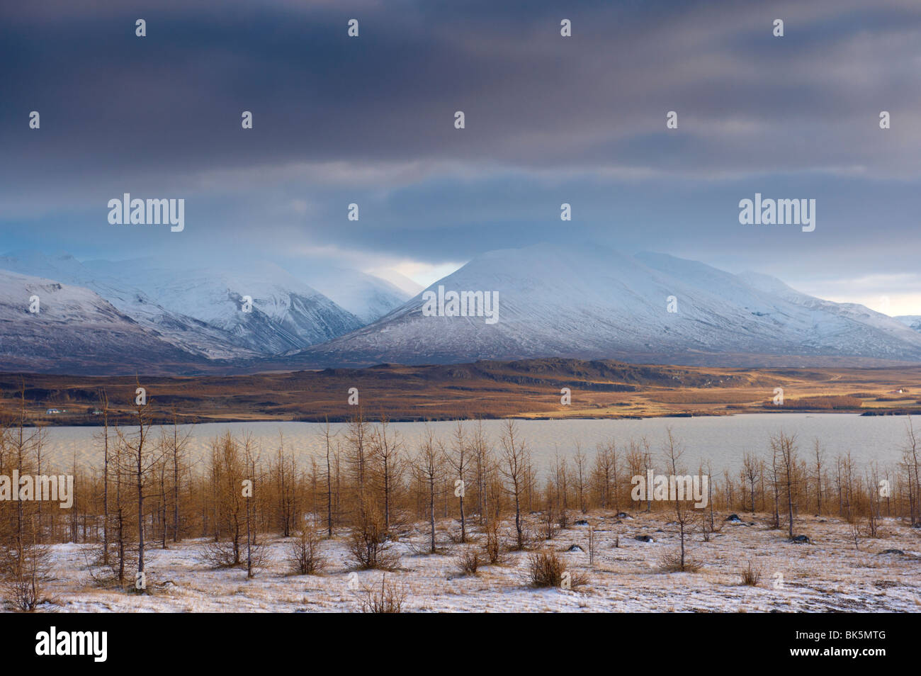 Egilsstadir iceland immagini e fotografie stock ad alta risoluzione - Alamy