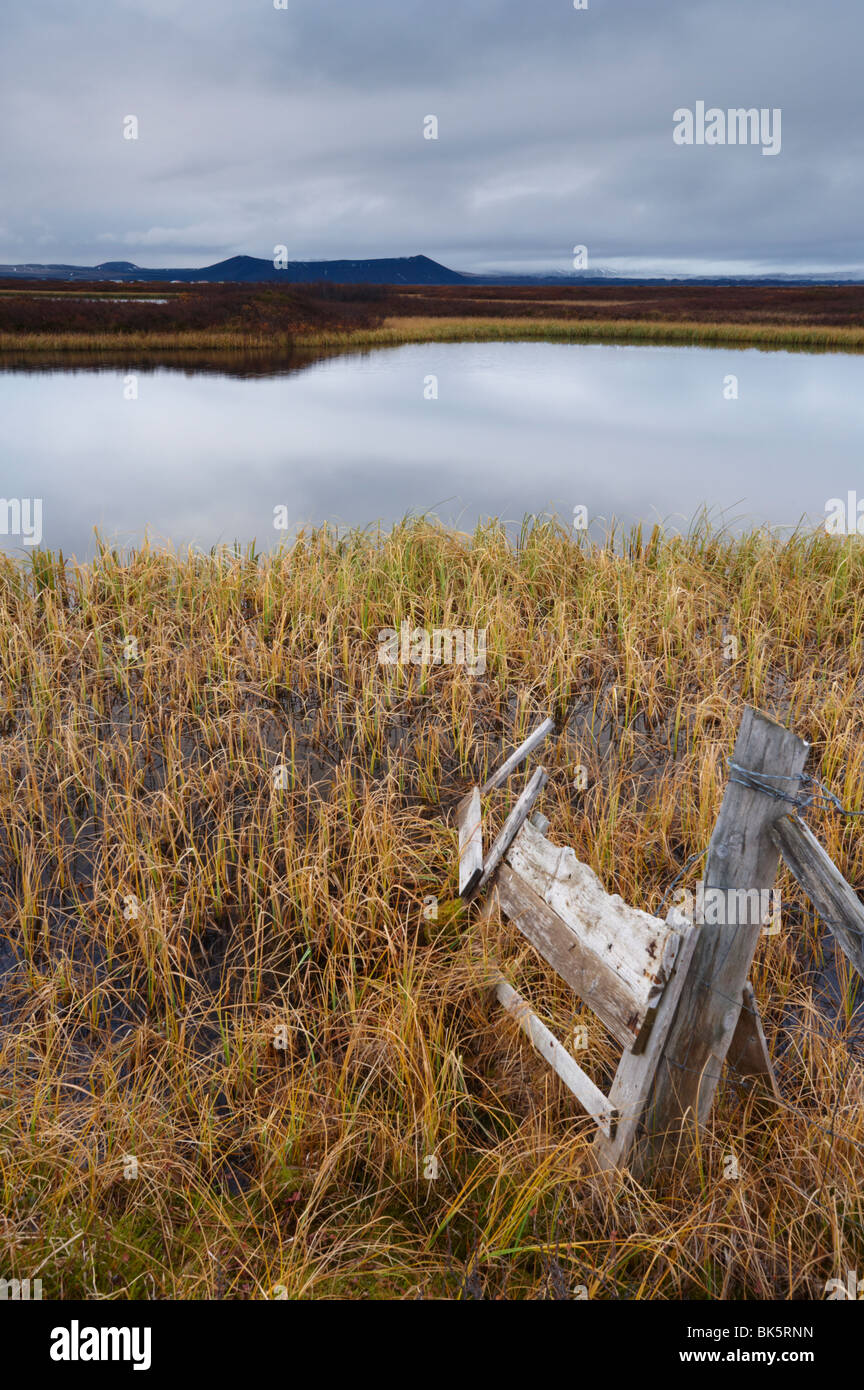 Lago Myvatn, bird area protetta in autunno, a nord-ovest del lago, vulcano Hverfjall visibile in distanza, Myvatn, Islanda Foto Stock