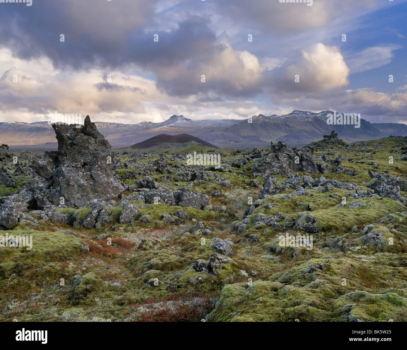I campi di lava Snaefellsnes Peninsula, Islanda, regioni polari Foto Stock