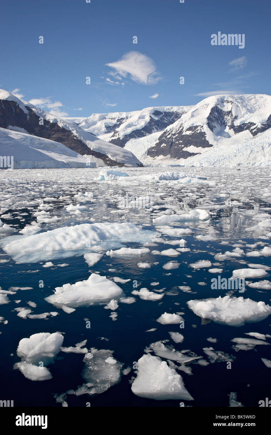 Blocchi di ghiaccio, Neko Harbour, Penisola Antartica, Antartide, regioni polari Foto Stock