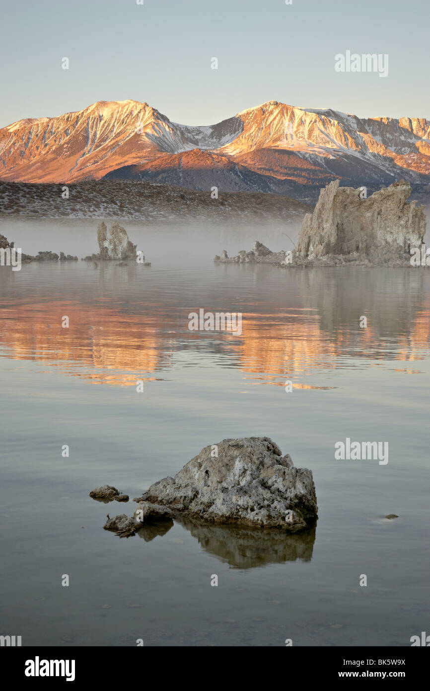 La luce del mattino, Mono Lake, California, Stati Uniti d'America, America del Nord Foto Stock