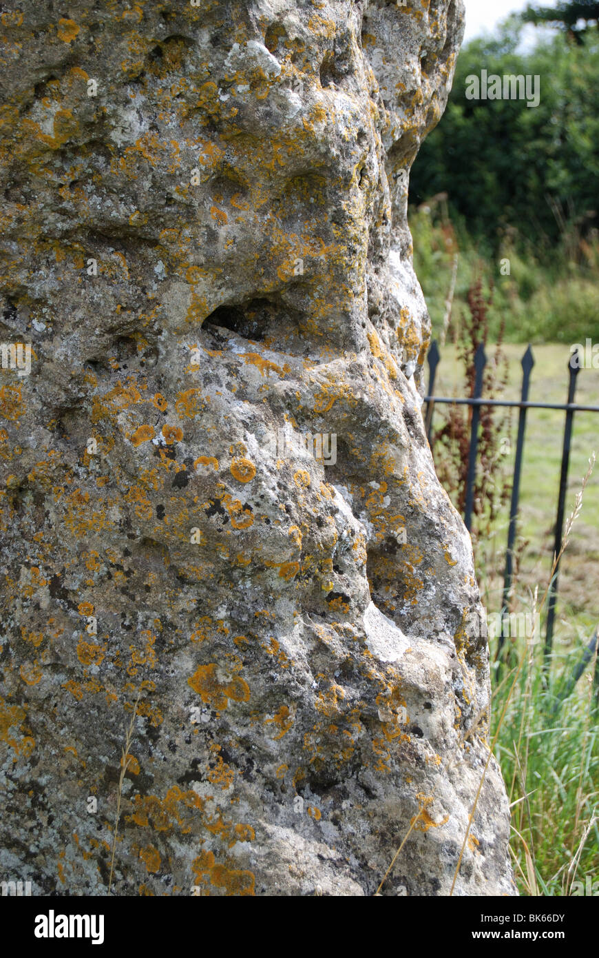 Il Re di Pietra il Rollright cerchio di pietra vicino a Long Compton in Oxfordshire Foto Stock