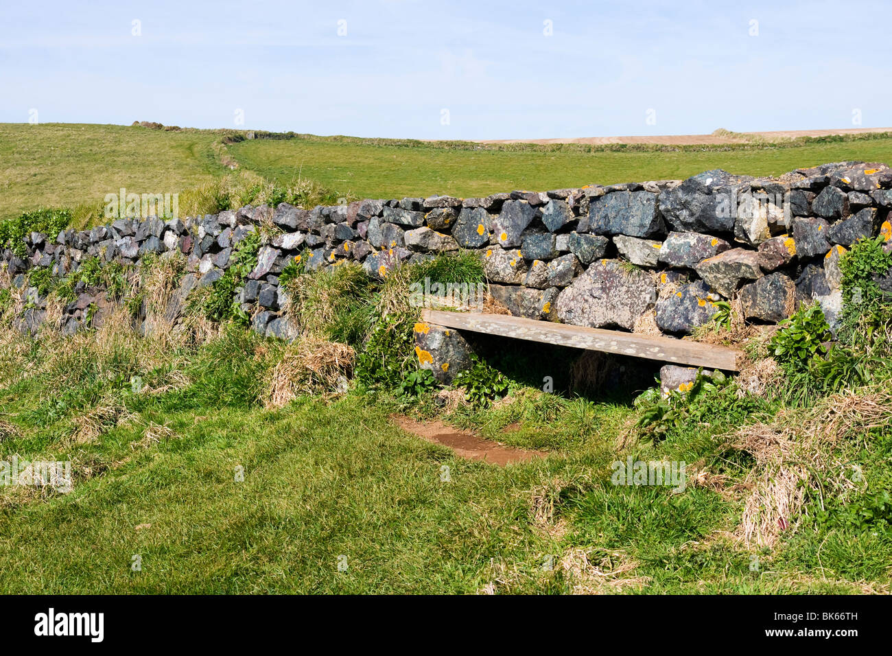 Lizard Point Cornwall Regno Unito Inghilterra Foto Stock