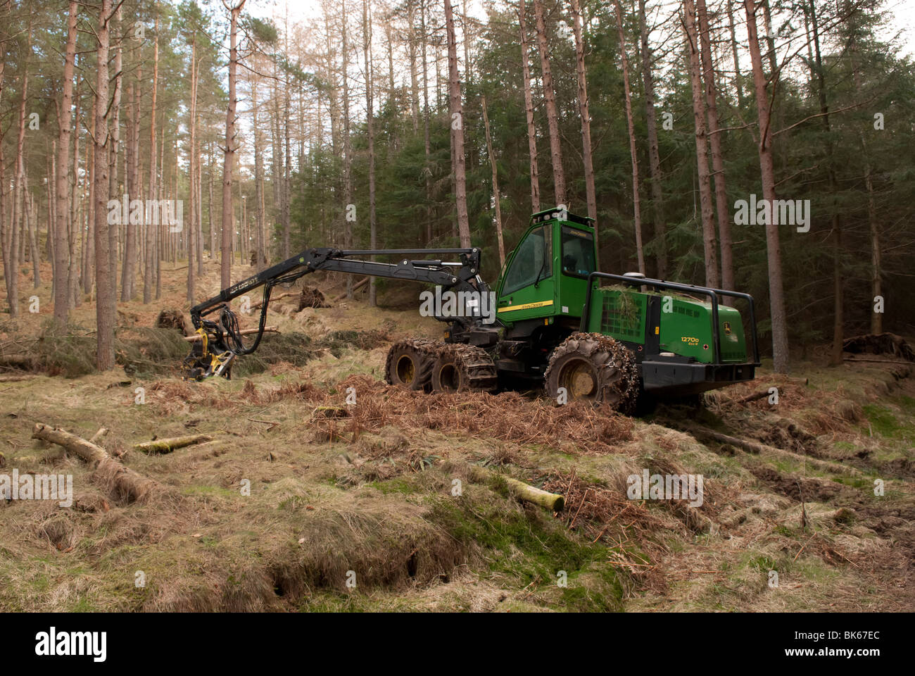 John Deere Harvester 1270 diradamento dei boschi, Aberdeenshire, Scozia Foto Stock