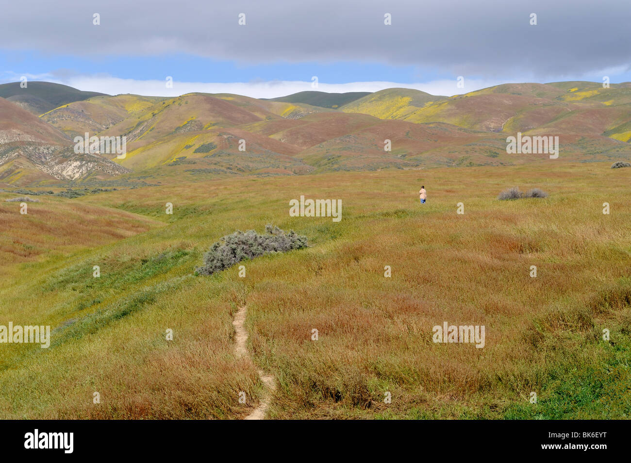 Donna sulla wallace creek trail, carrizo plain monumento nazionale, CA 100411 35333 Foto Stock