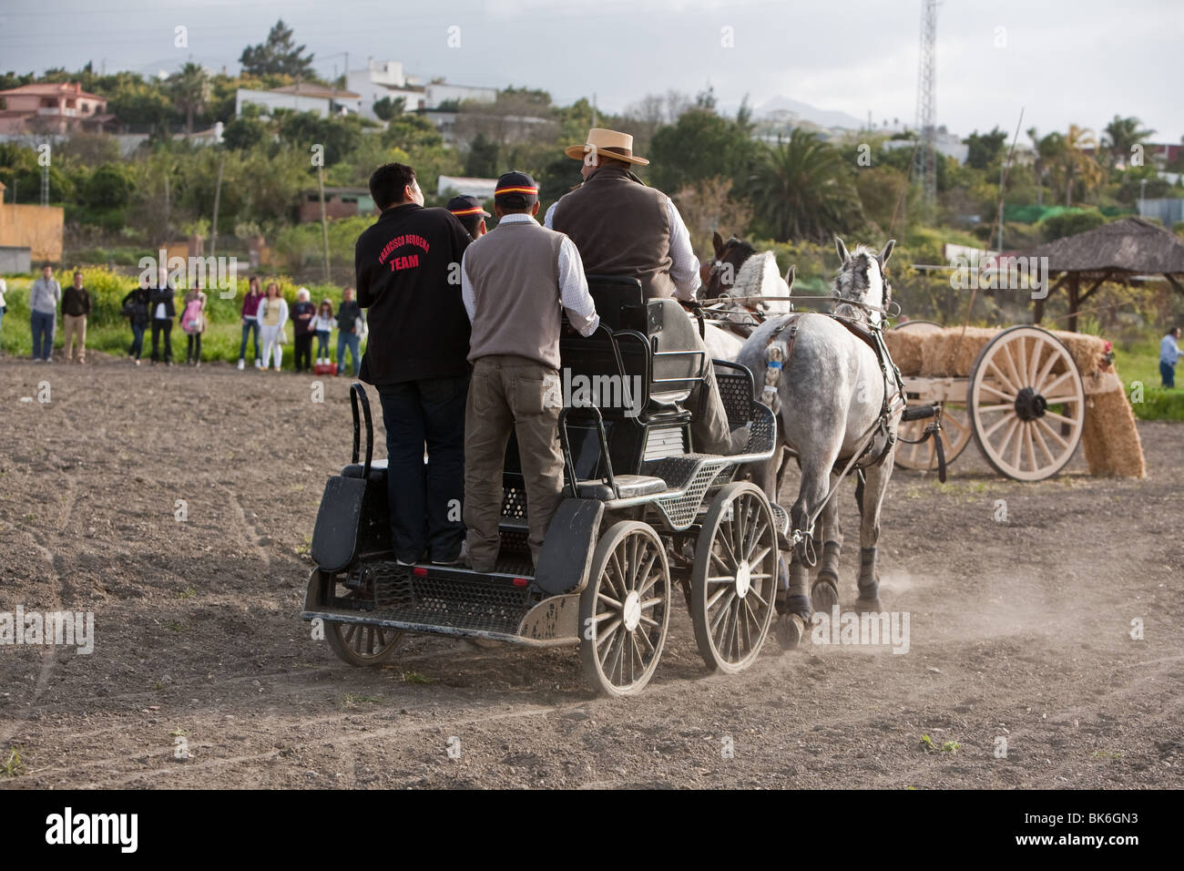 Carrello cavallo, Spagna Foto Stock