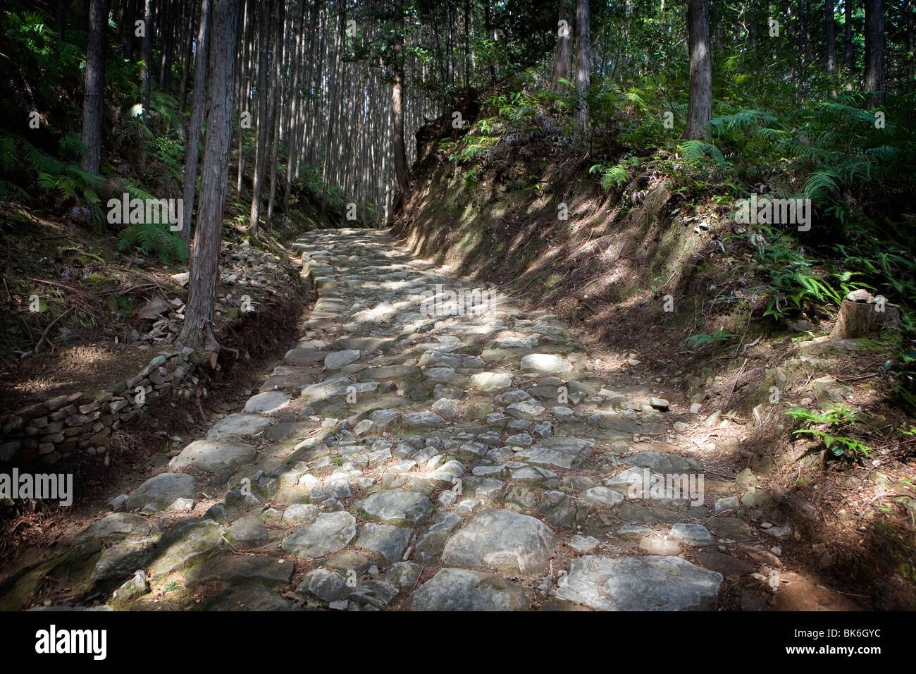 Kumano Kodo percorso del pellegrinaggio Foto Stock