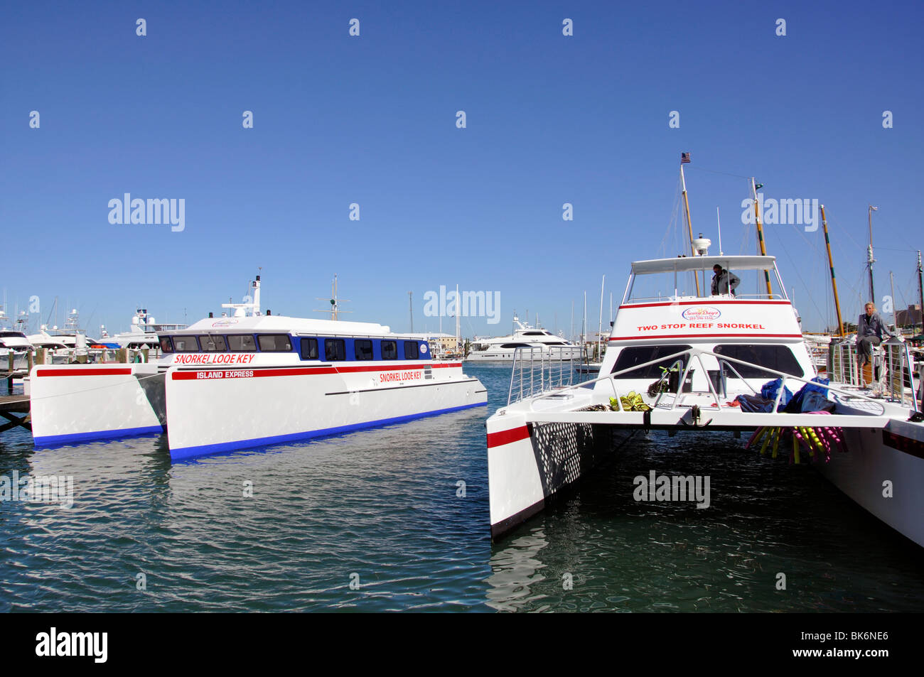 Marina, Key West, Florida, Stati Uniti d'America Foto Stock