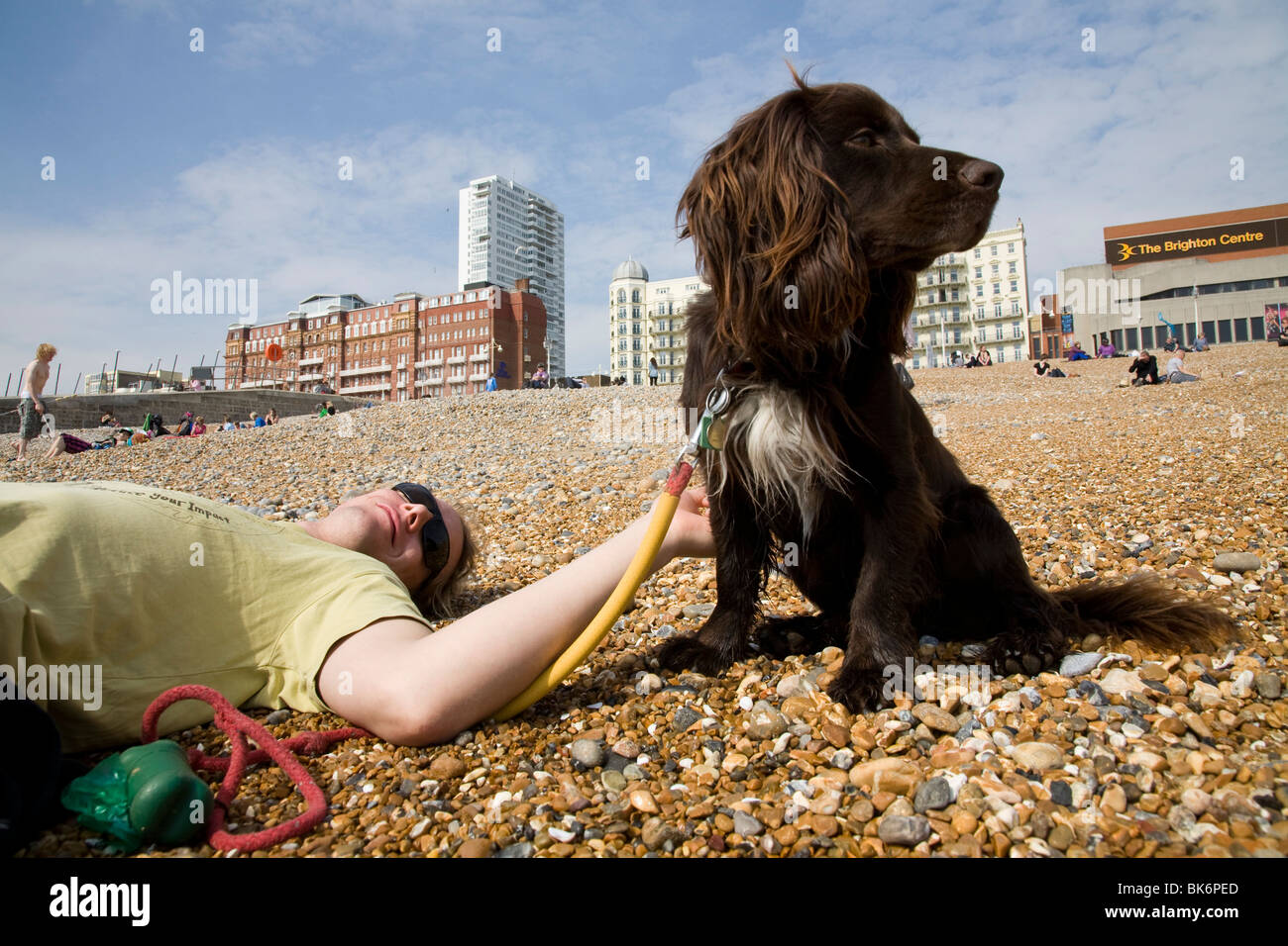 Uomo e cane sulla spiaggia di Brighton. Il Centro di Brighton, il Grand e il Metropole Hotel può essere visto in background. Foto Stock