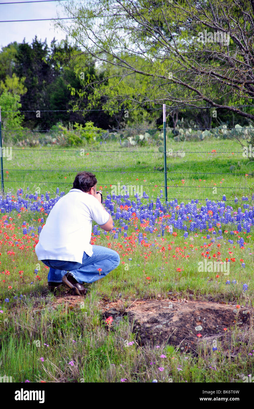 Uomo di fotografare bluebonnets, Texas, Stati Uniti d'America Foto Stock