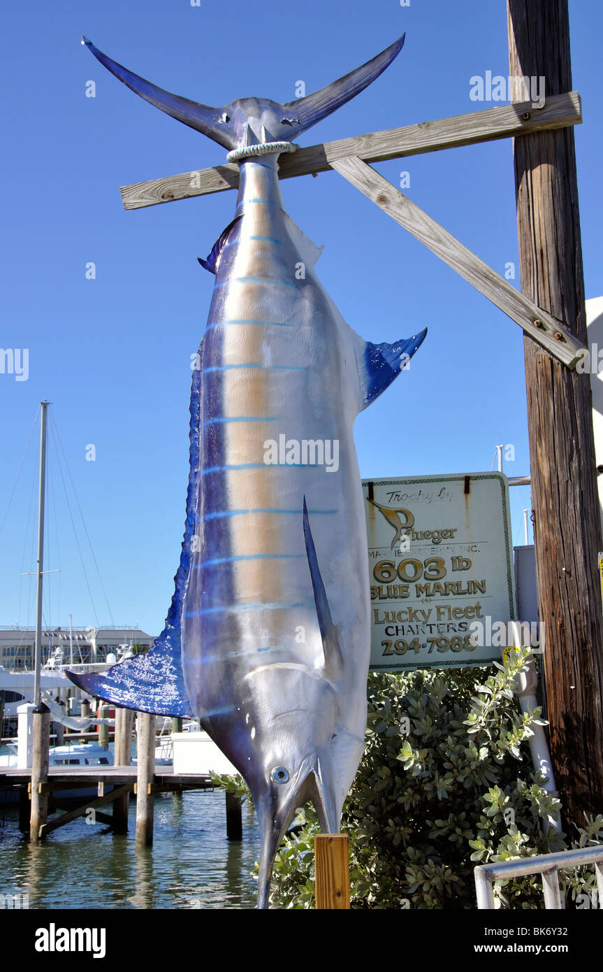 Trofeo pesce, Key West, Florida, Stati Uniti d'America Foto Stock