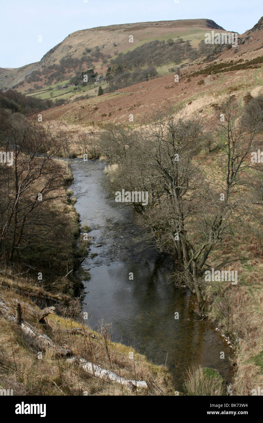 Il Marteg fiume che scorre attraverso le montagne Cambriano a Gilfach Riserva Naturale, POWYS, GALLES Foto Stock