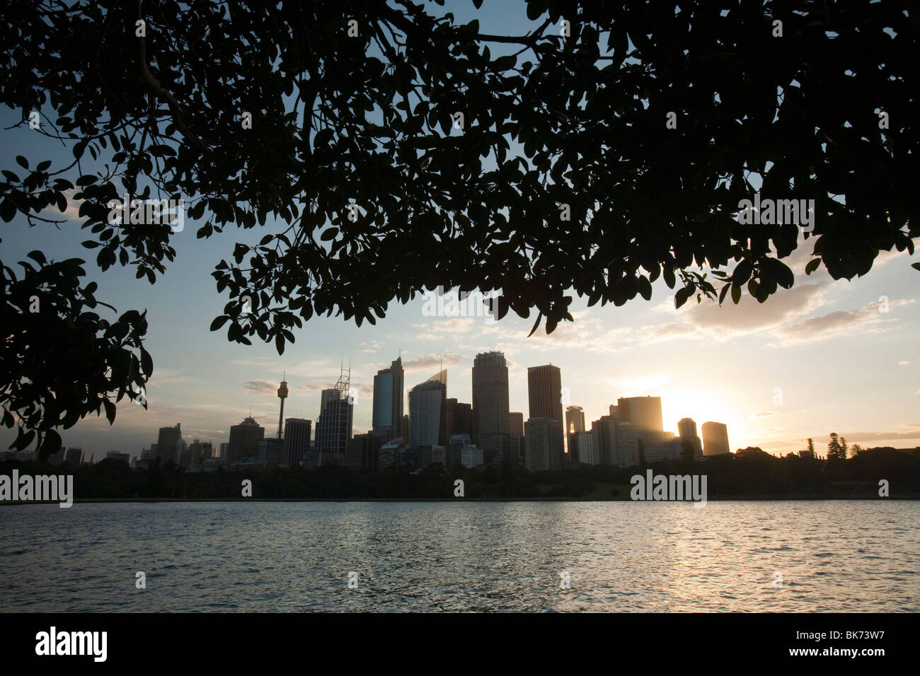 Centro di Sydney al tramonto, Australia. Foto Stock