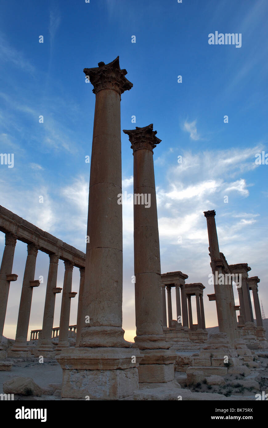 Rovine di Palmyra sito archeologico, Tadmur, Siria, Asia Foto Stock