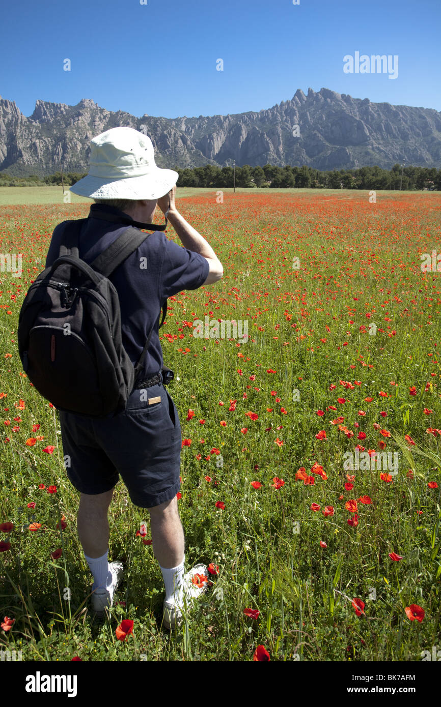 Uomo di scattare una foto di montserrat in un campo di semi di papavero Foto Stock