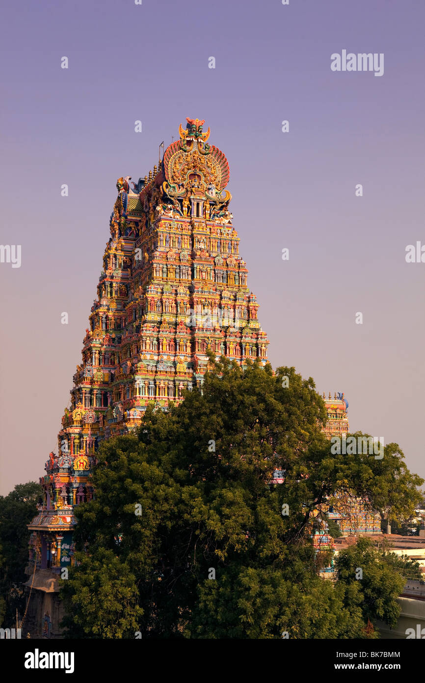 India, nello Stato del Tamil Nadu, Madurai, Sri Meenakshi Temple, restaurato recentemente colorato gopuram est al tramonto Foto Stock