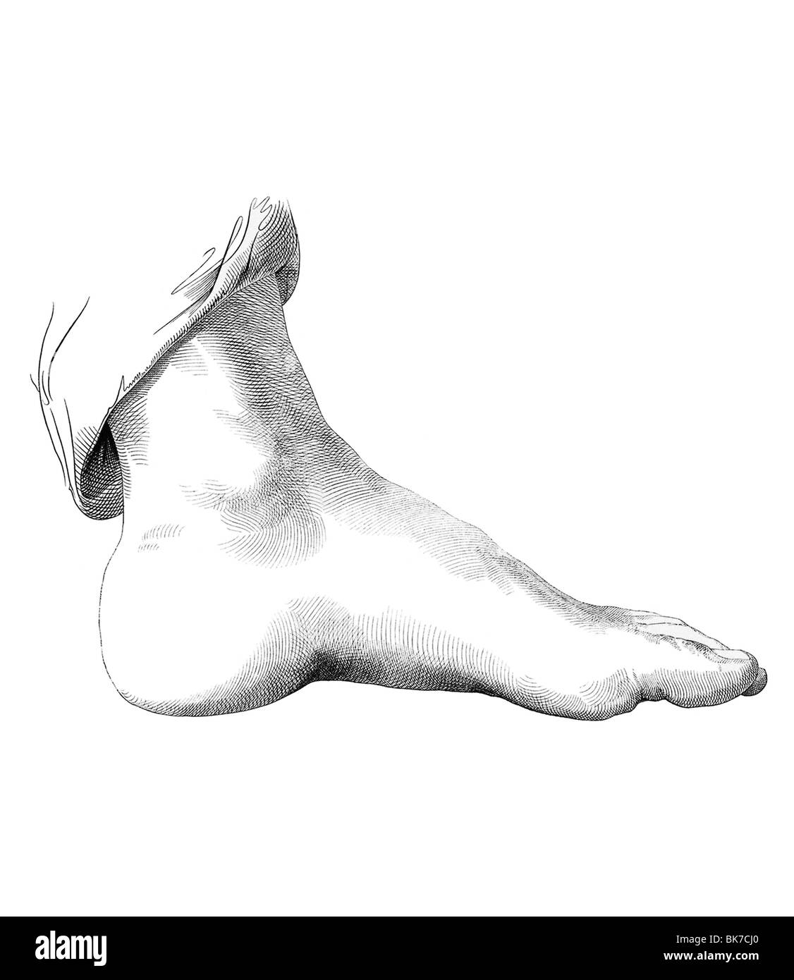 Piede, opere d'arte Foto Stock