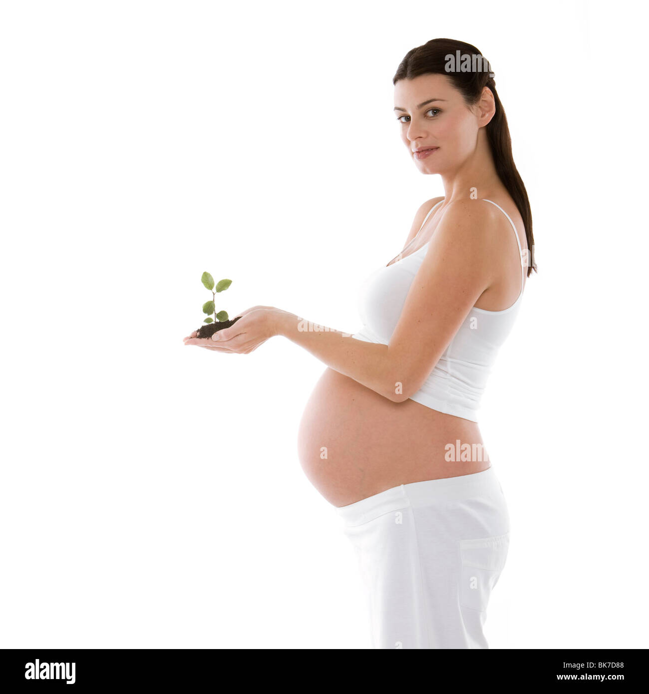 Nuova vita Foto Stock