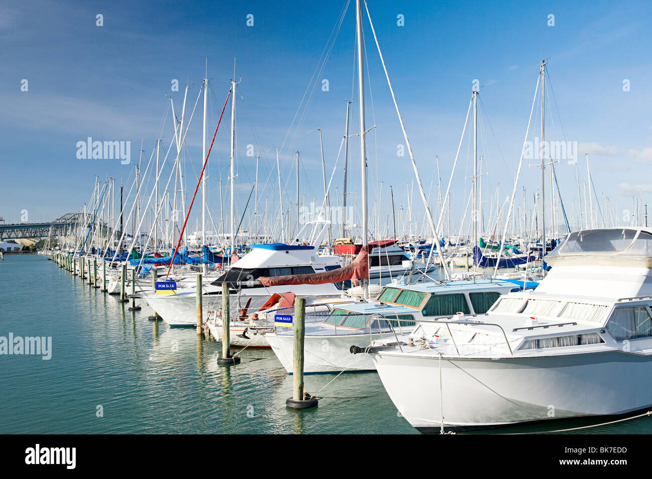 Westhaven Marina di Auckland Foto Stock