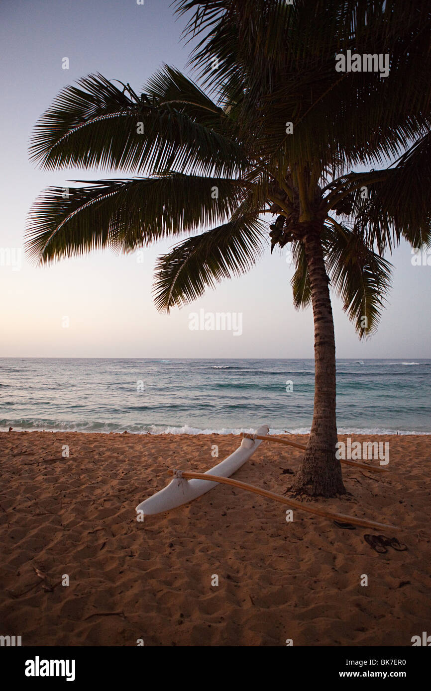 Canoa Outrigger e Palm Tree sulla spiaggia hawaiana Foto Stock