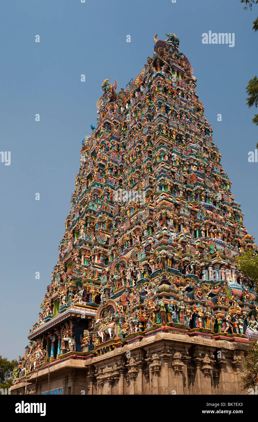 India, nello Stato del Tamil Nadu, Madurai, Sri Meenakshi Temple, restaurato recentemente colorato gopuram nord Foto Stock