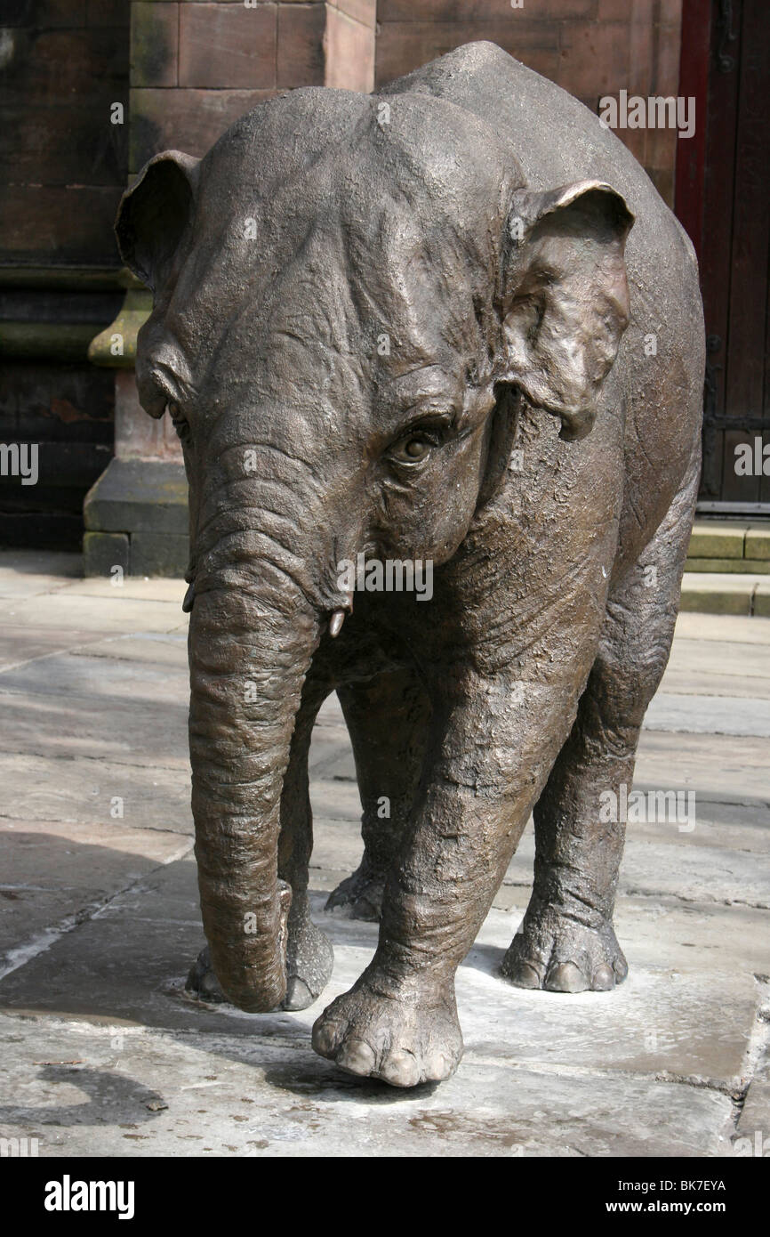 Elefante in bronzo vitello in centro citta' di Chester, Cheshire, Regno Unito Foto Stock