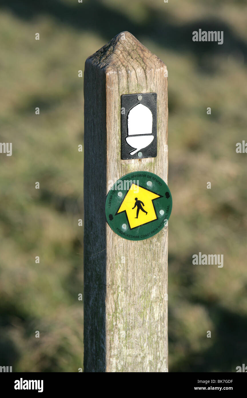 Welsh natura segnavia post con acorn e freccia Foto Stock