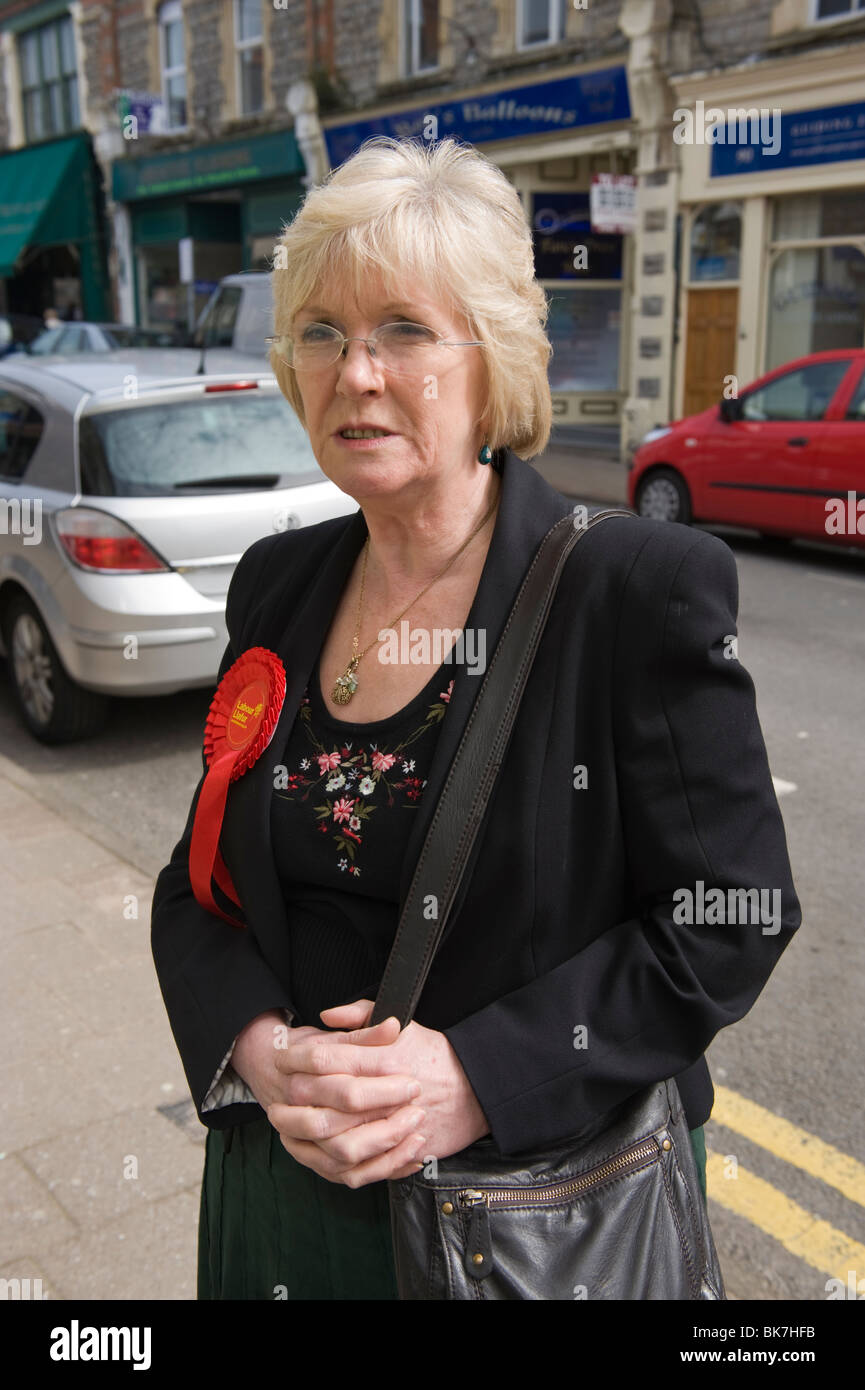 Alana Davies del partito laburista nel candidato la Vale of Glamorgan circoscrizione elettorale nella foto di campagna elettorale durante il 2010 elezioni generali Foto Stock